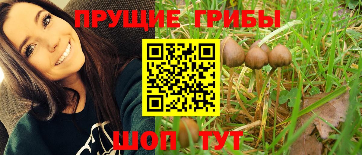 Астрахань  Галлюциногенные грибы Cubensis  Псилоцибиновые грибы GOLDEN TEACHER  Вход с VPN 