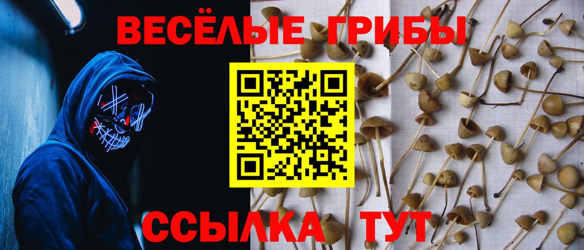 Псилоцибиновые грибы Magic Shrooms Астрахань